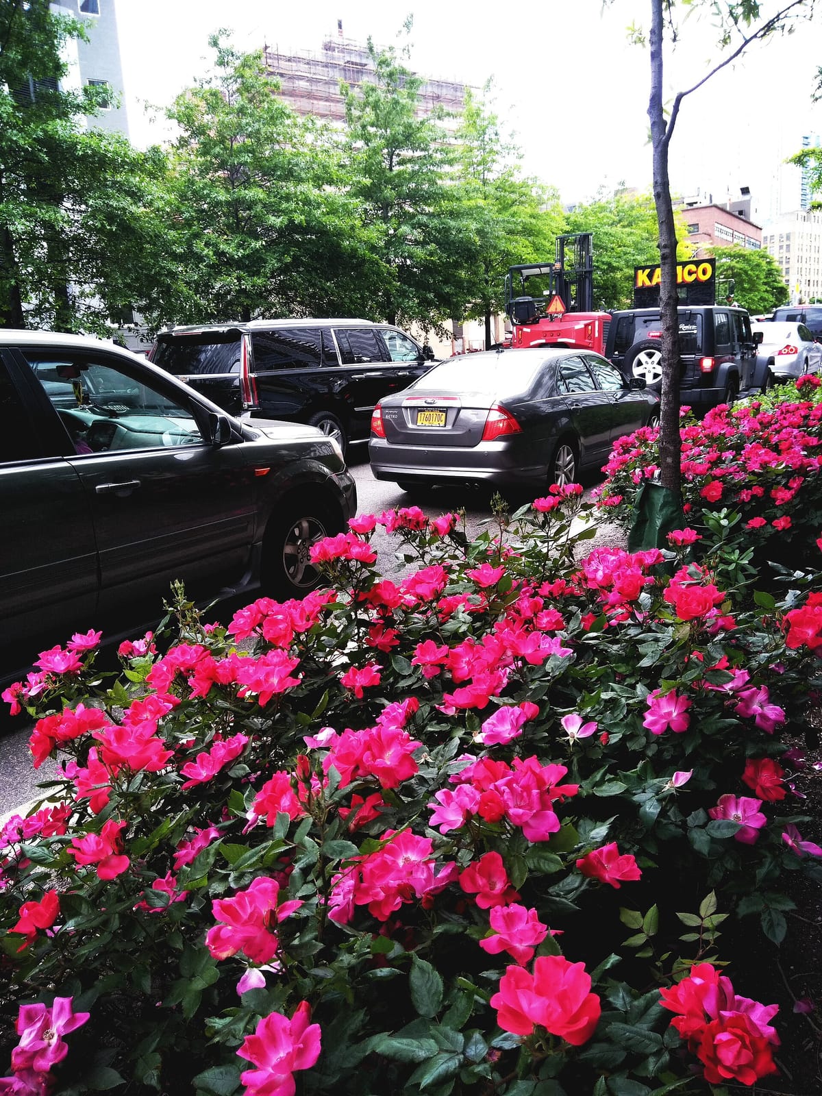 Compilation Coffee Roasters @ Ft. Greene photo 2
