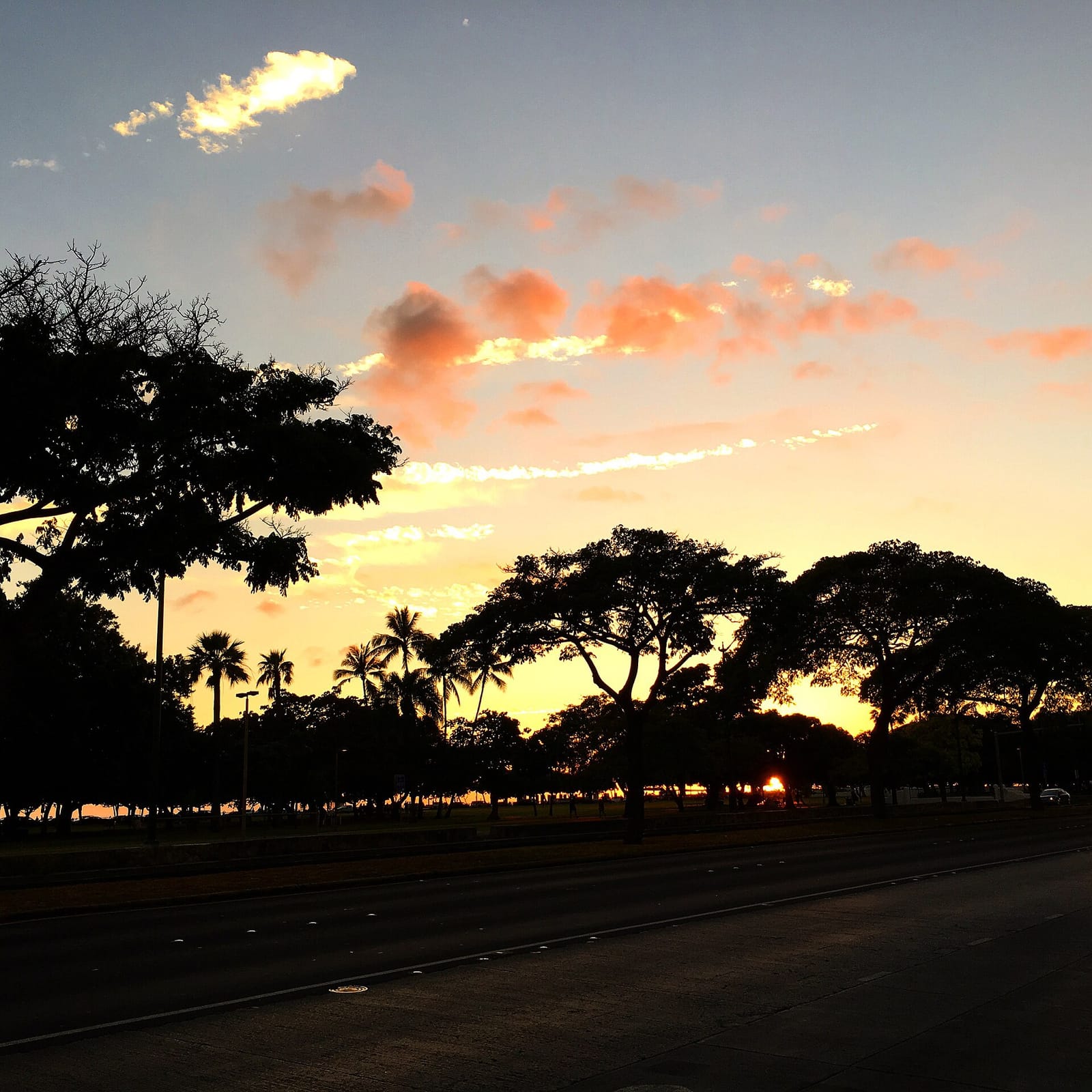 Ali'i Coffee Co. photo 3