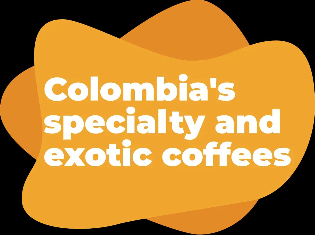 EL AMIGO COFFEE photo 2