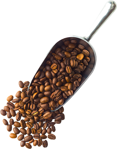 Westrock Coffee Company - Roasting & Manufacturing photo 6