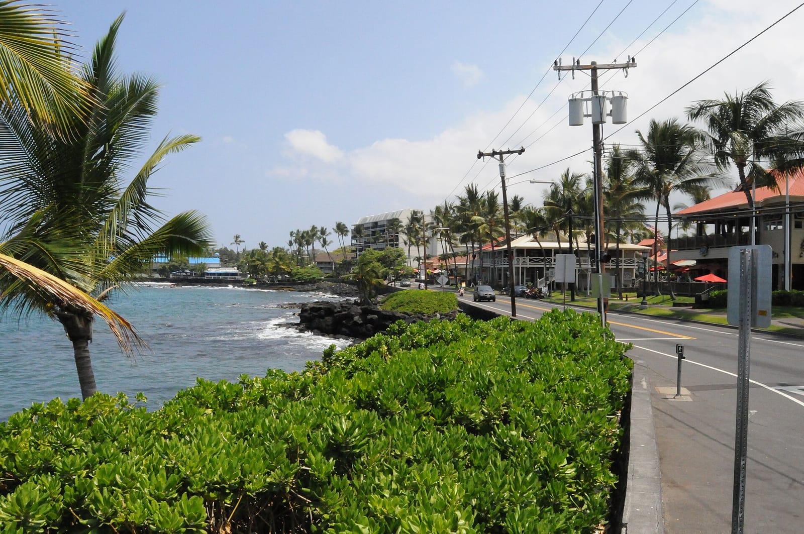 Kona Heaven Coffee photo 2