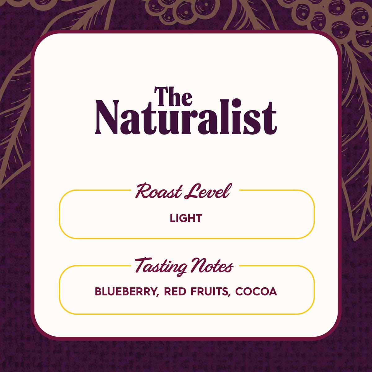 French Truck Coffee photo 6