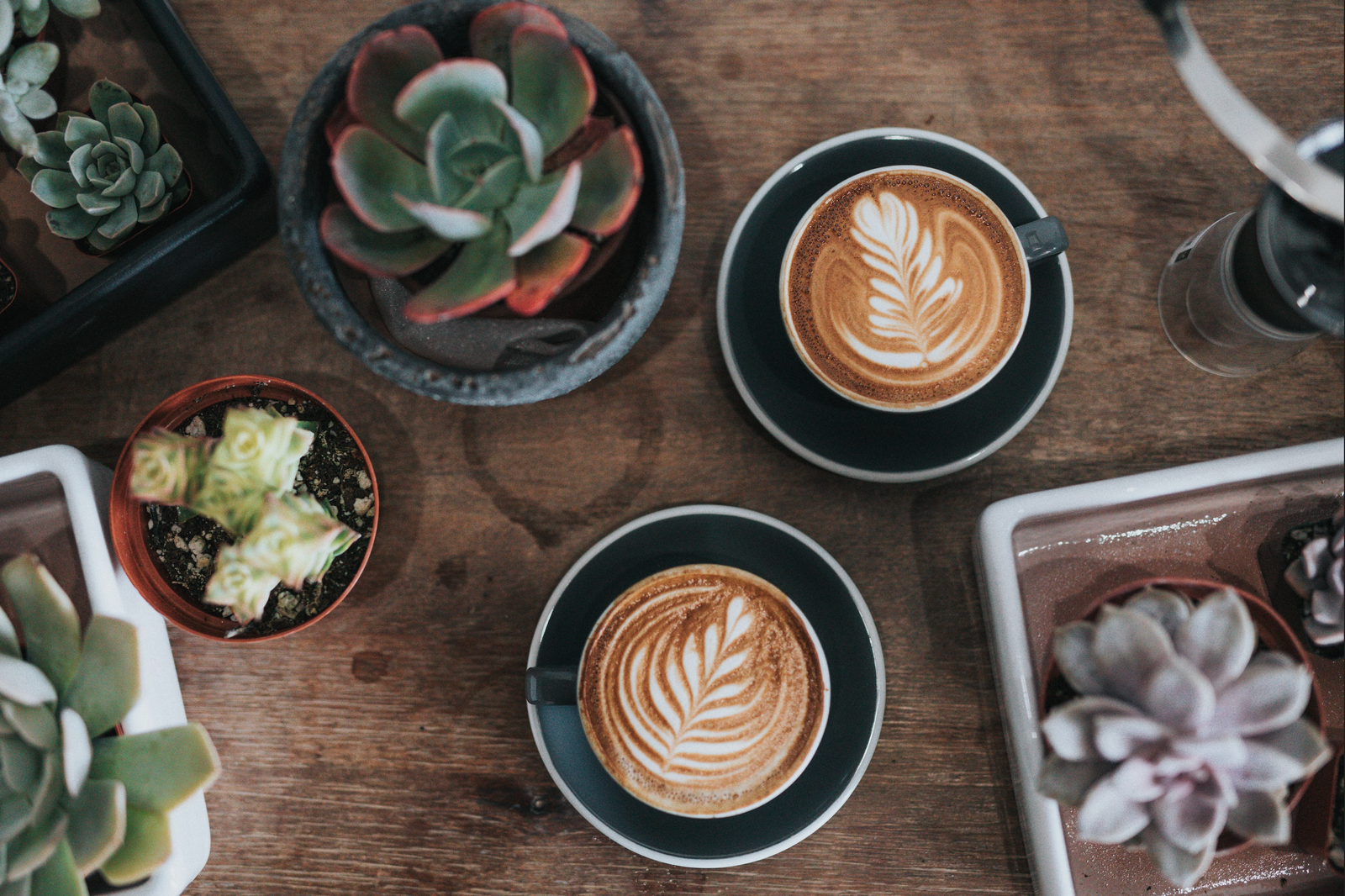 Harley's Coffee Co. photo 7