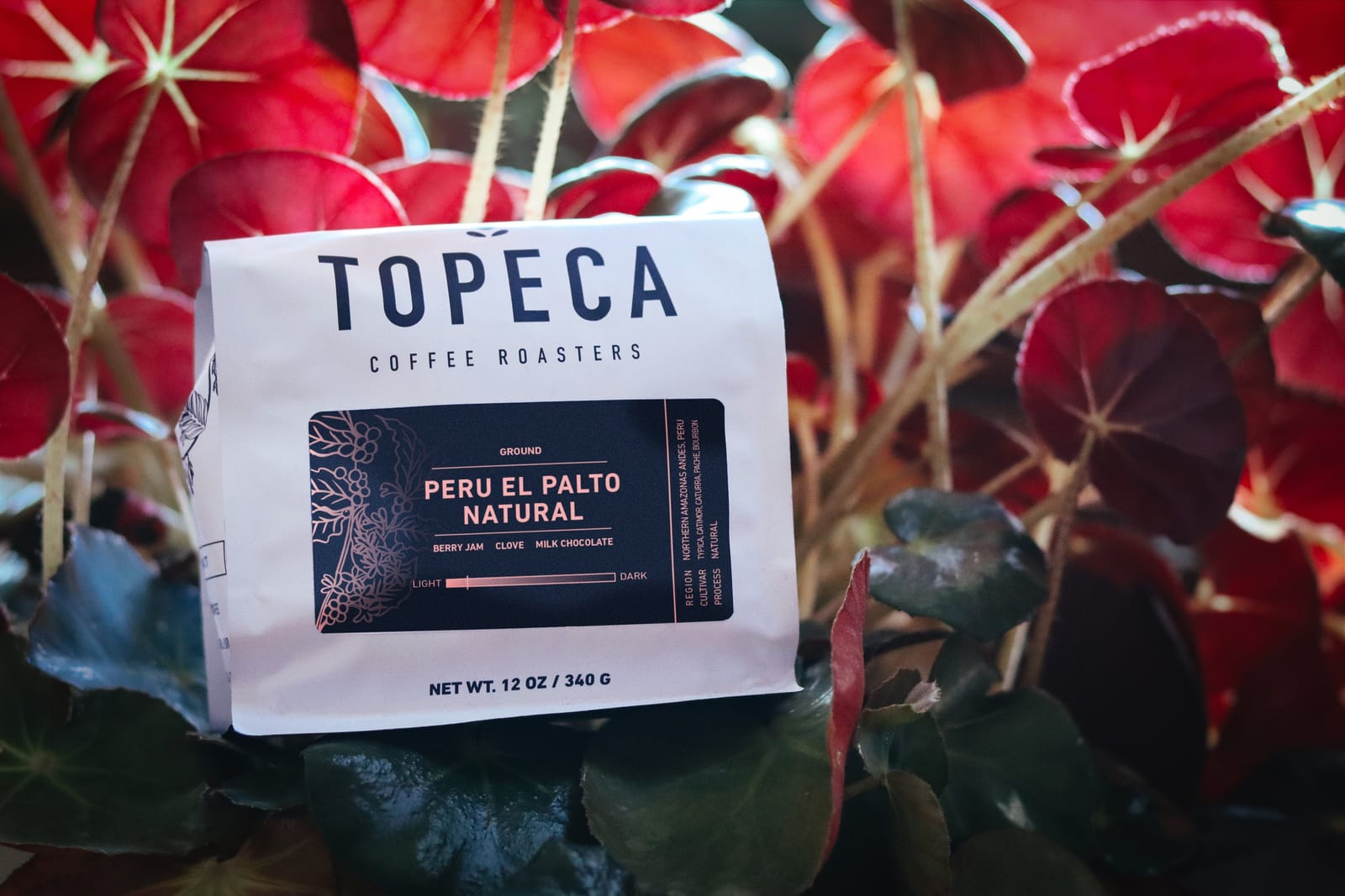 Topeca Coffee Roastery photo 5