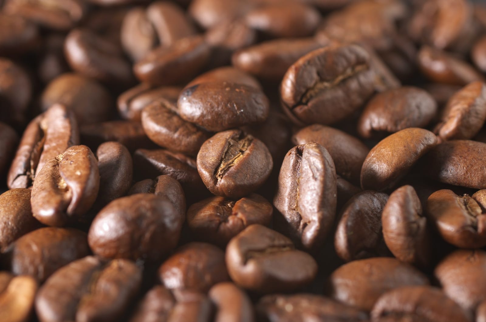 Baja Coffee Co. photo 2