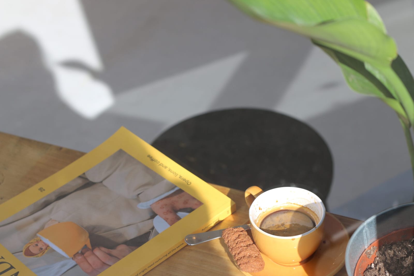 Cricklewood Coffee Roasters photo 5