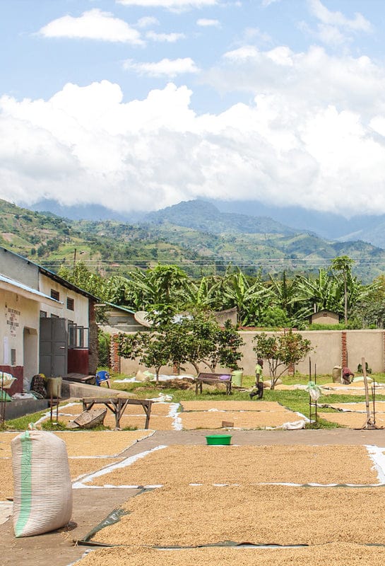 Sendero Specialty Coffee photo 6