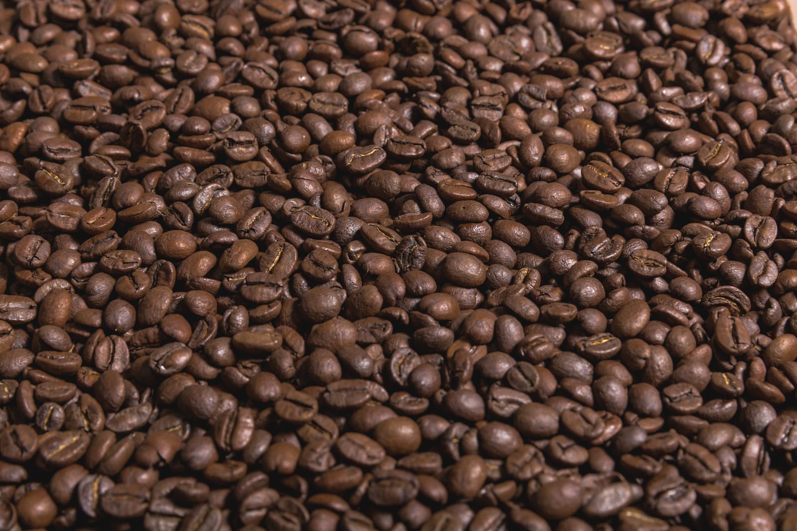 London Coffee Roasters photo 8