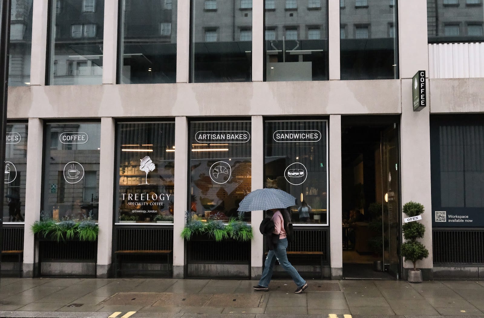 Treelogy Speciality Coffee Paddington