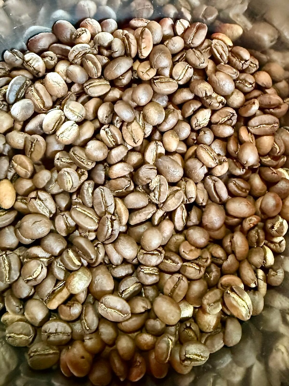 badda bean coffee co photo 7