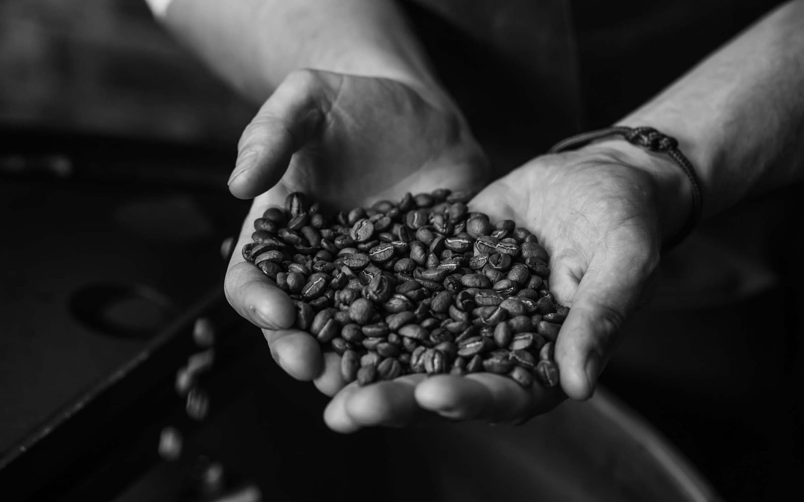 Forge Coffee Roasters photo 3