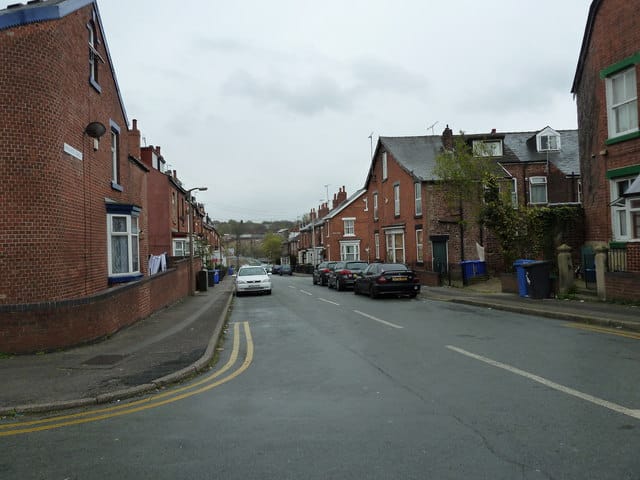 Sharbat photo 4