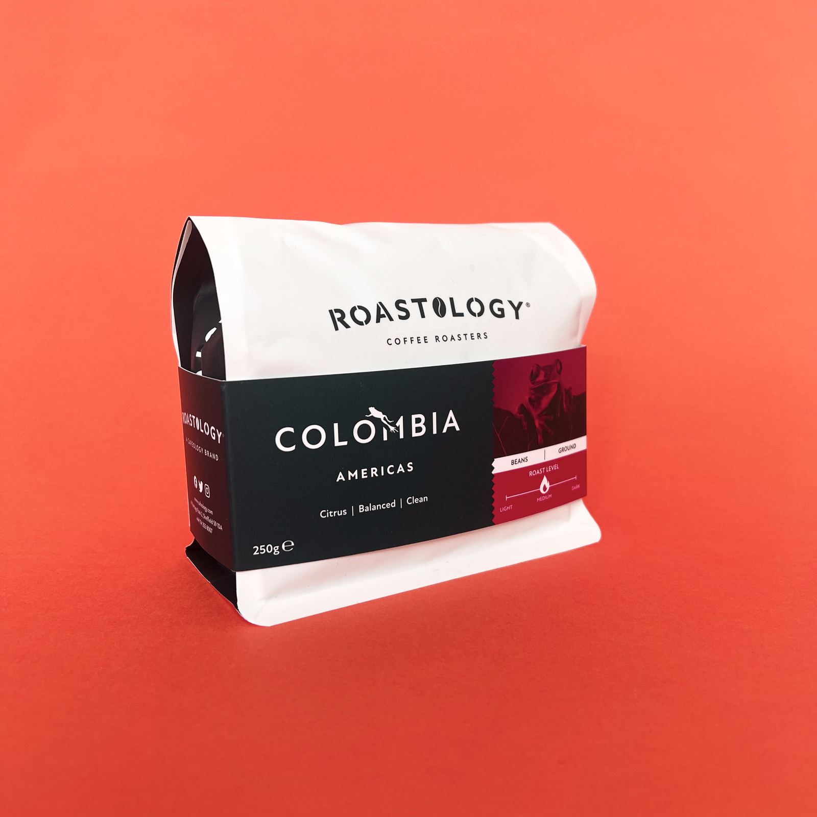 Cafeology Limited photo 8