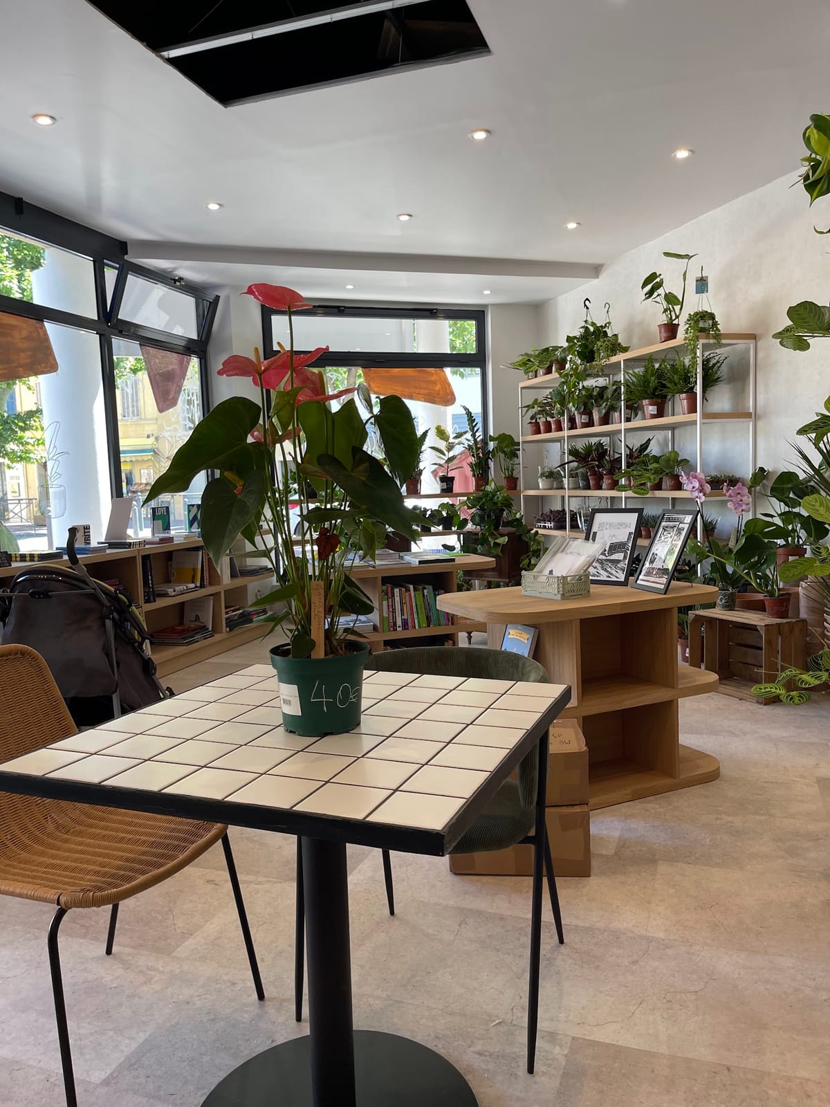 Mostera Concept Store