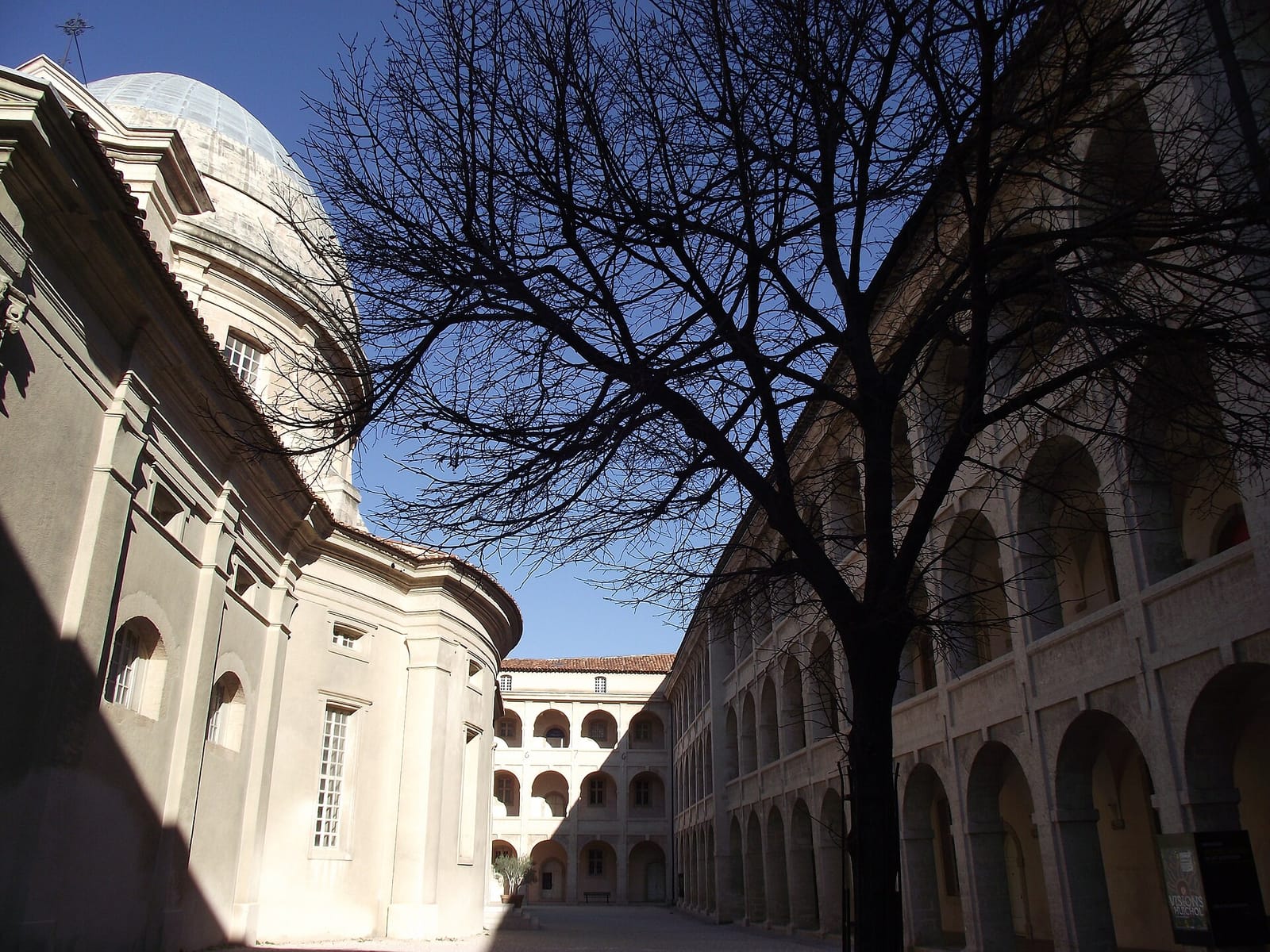 Taofe photo 3
