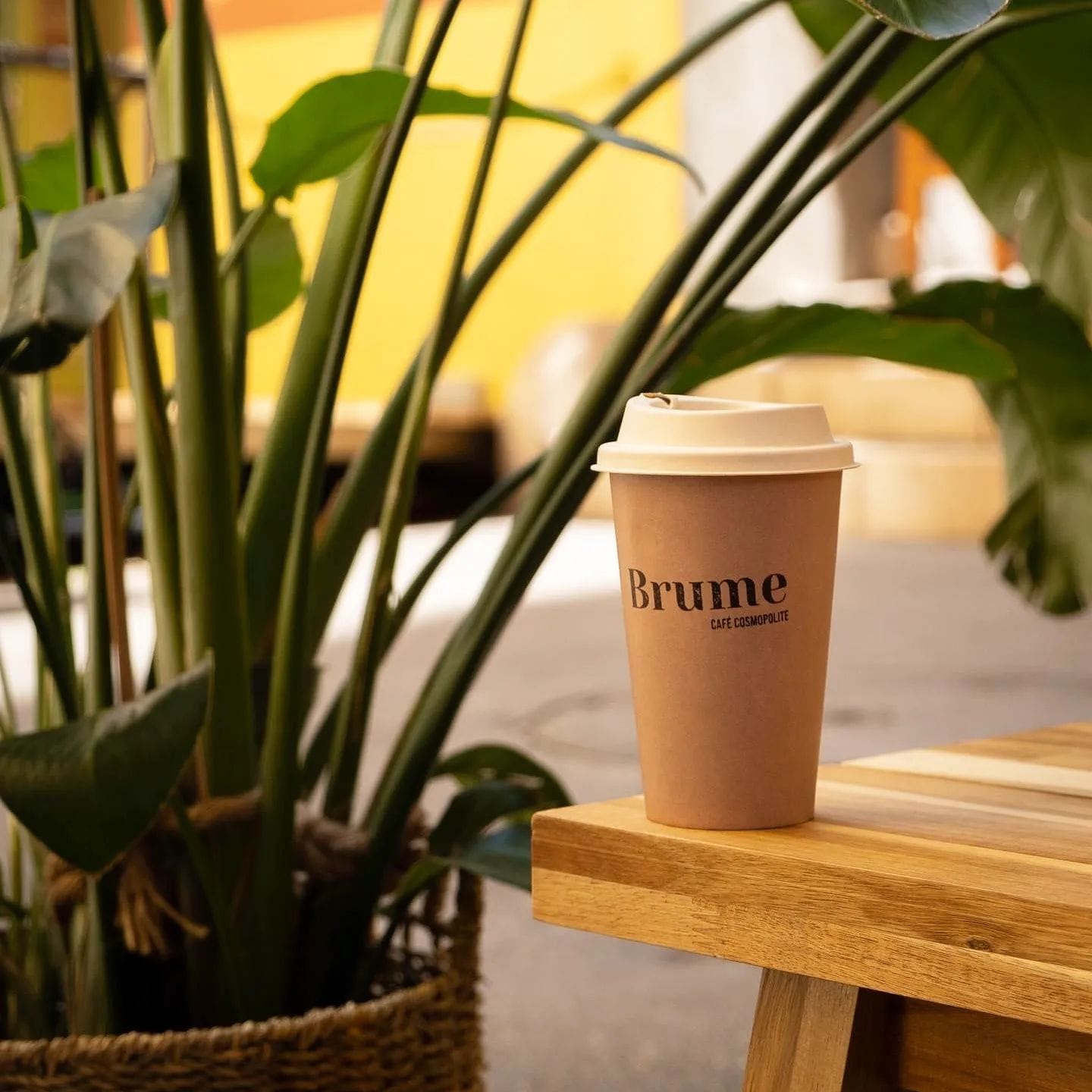 Brume Coffee Nice photo 6
