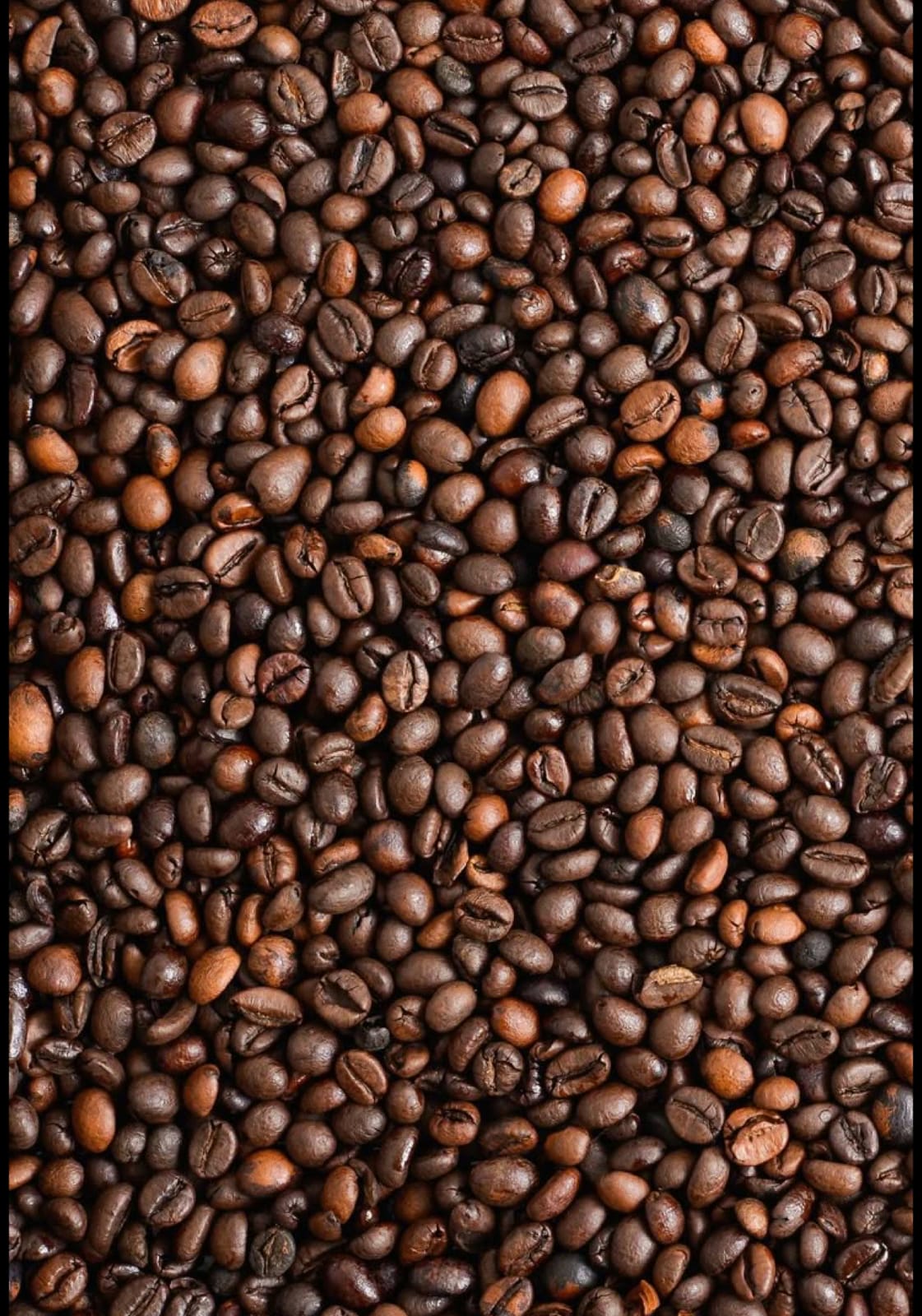 Coffee Arts Paris photo 3