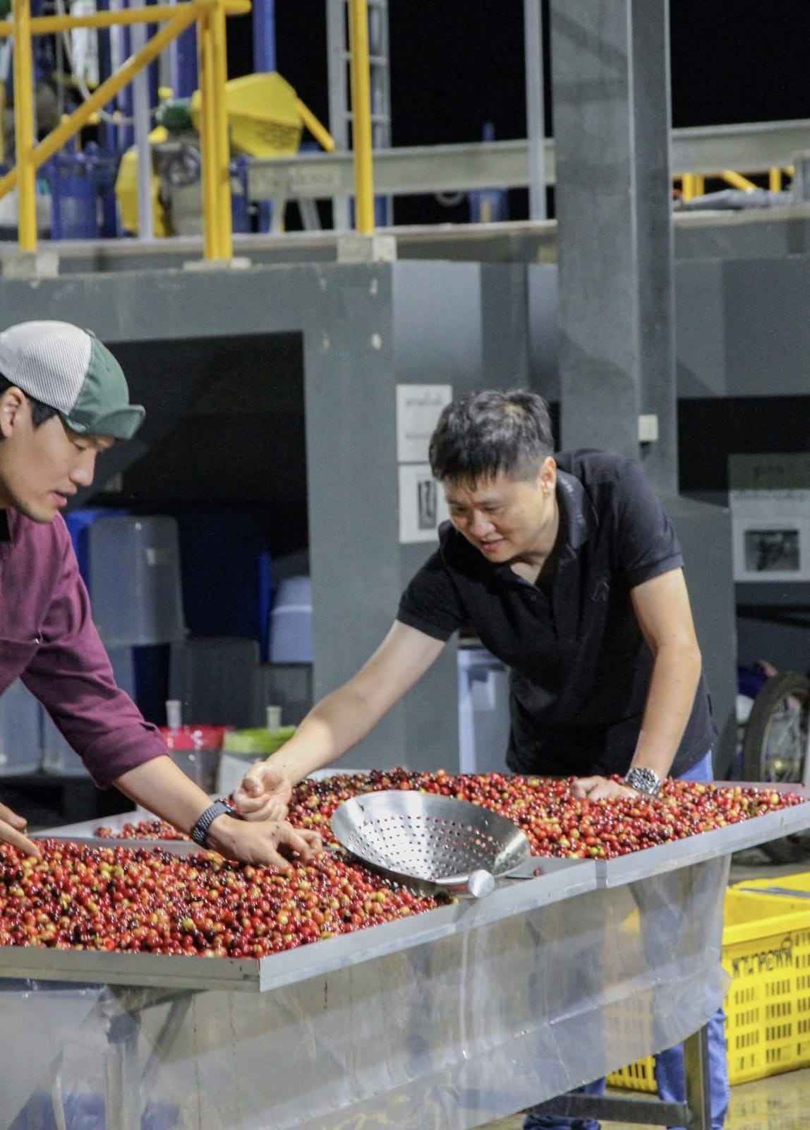 Koffeeplus Coffee Roaster Academy photo 5