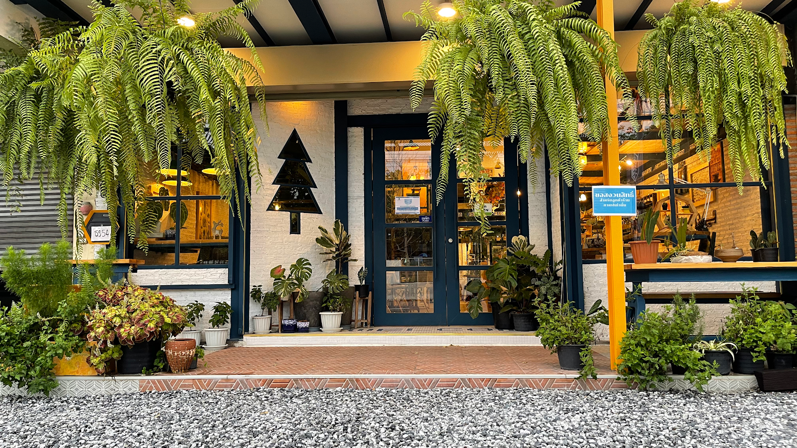 Pine Tree Coffee Roasters