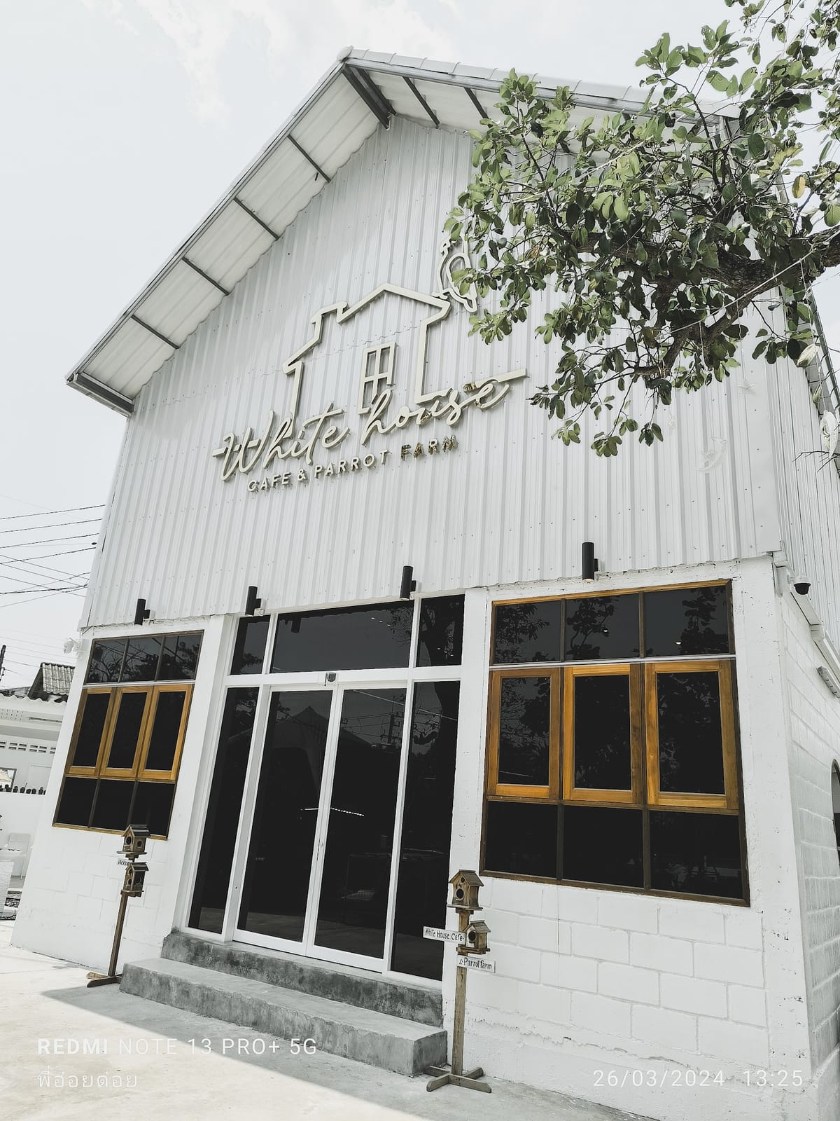 White house cafe & Parrot farm