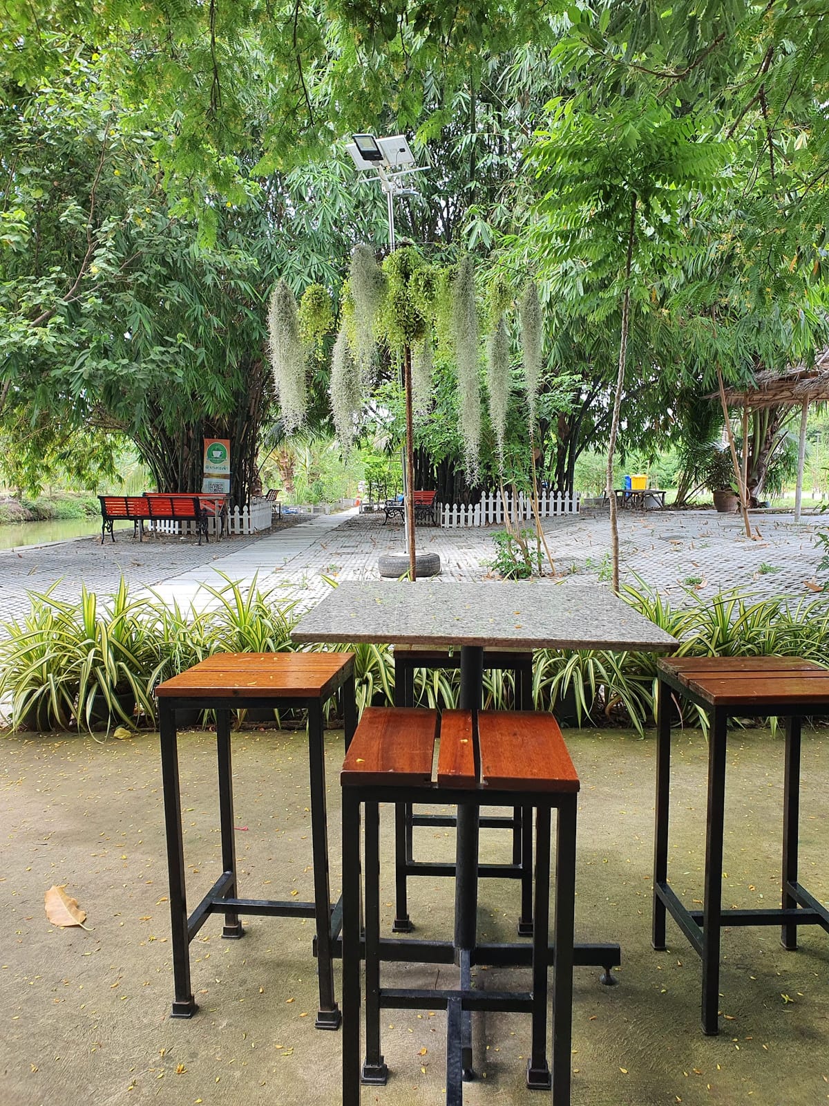 Green Zone Coffee