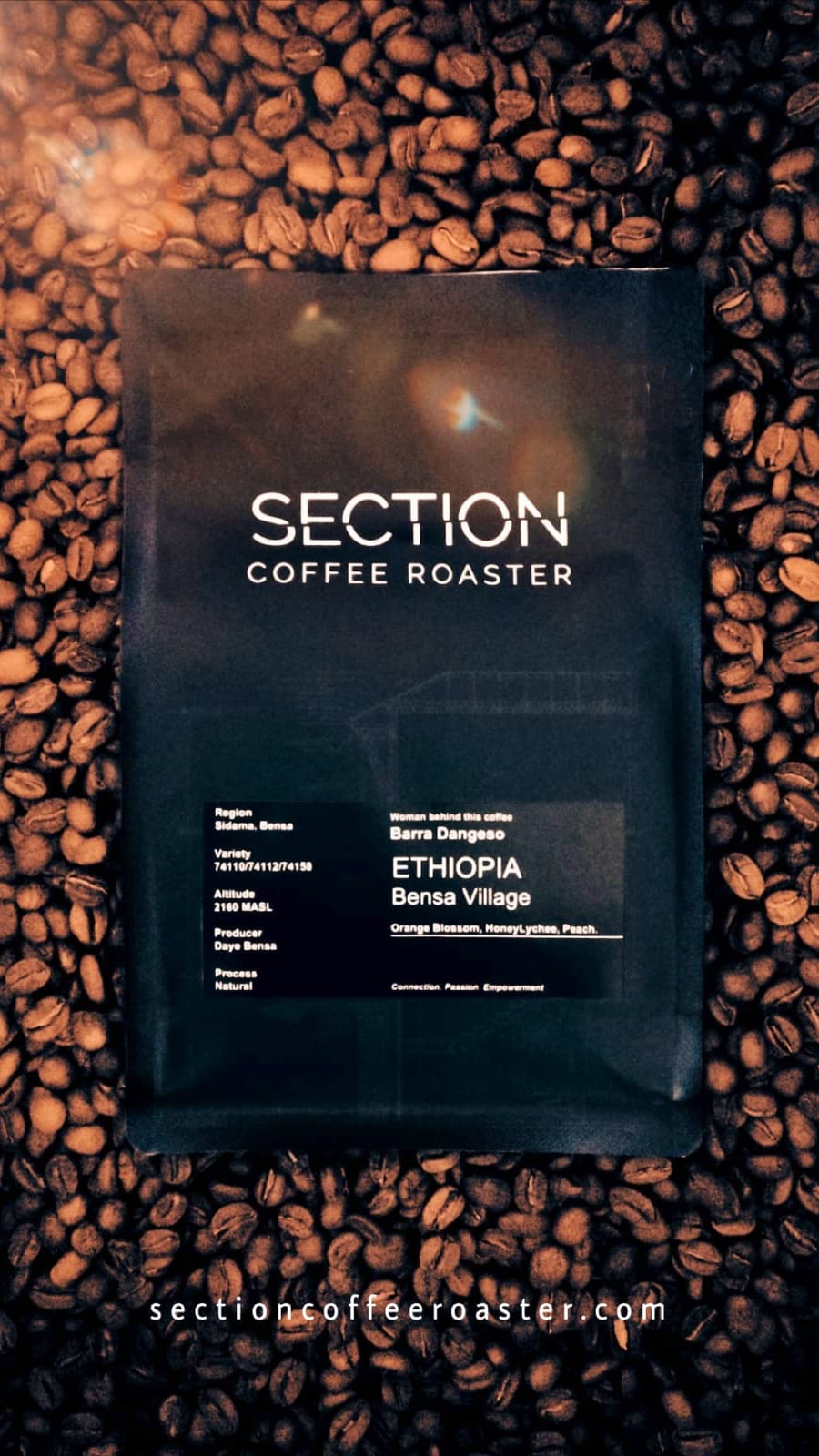 Section Coffee Roaster