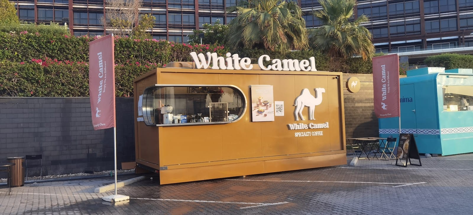 White Camel Specialty Coffee