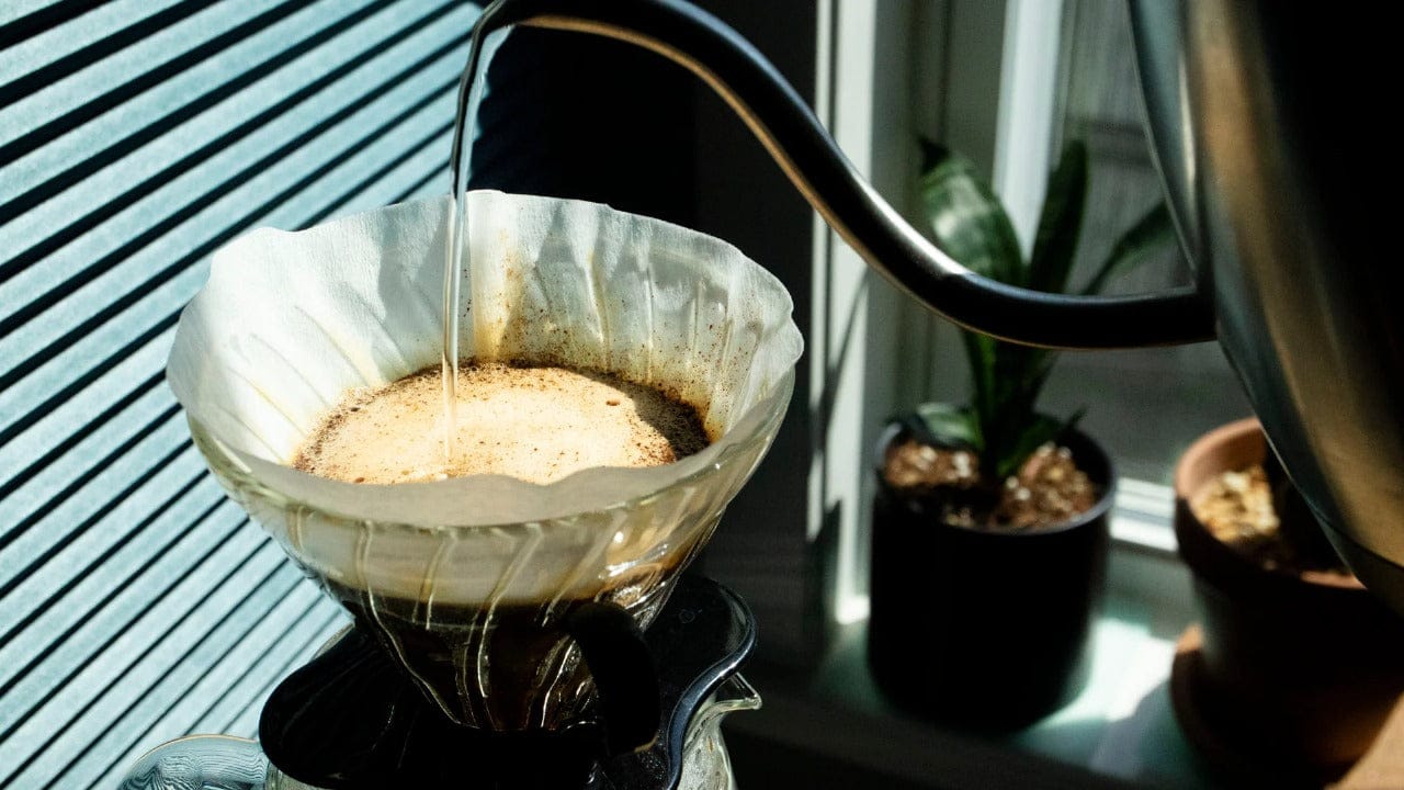 Haute Coffee Roasters photo 3