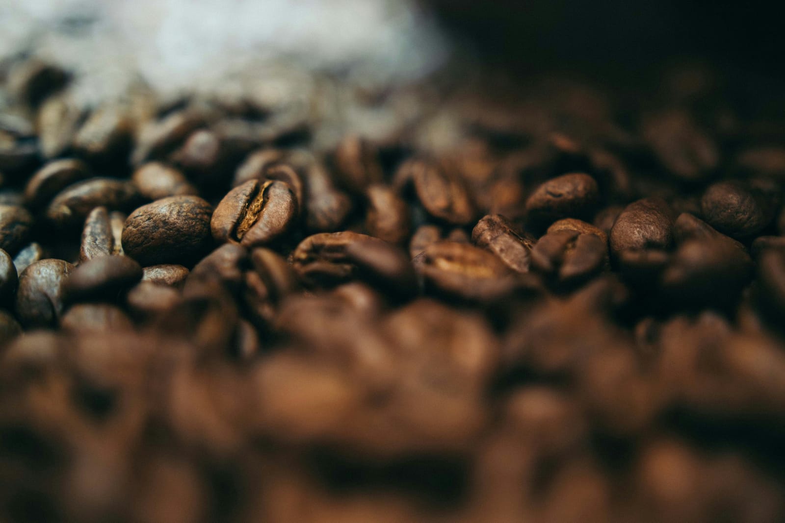 Roasters Specialty Coffee House Emaar Beachfront photo 3