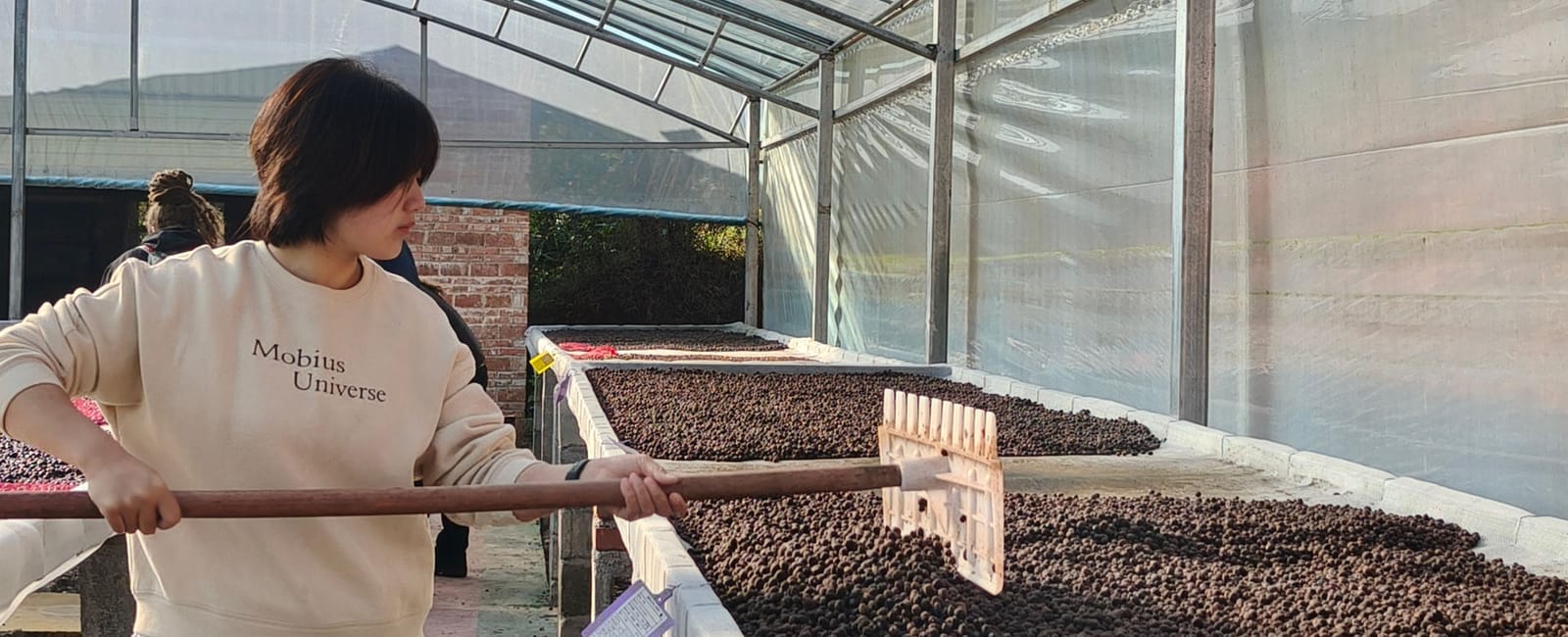 Nomads Roastery photo 6