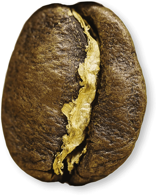 Specialty Batch Coffee Roastery photo 2