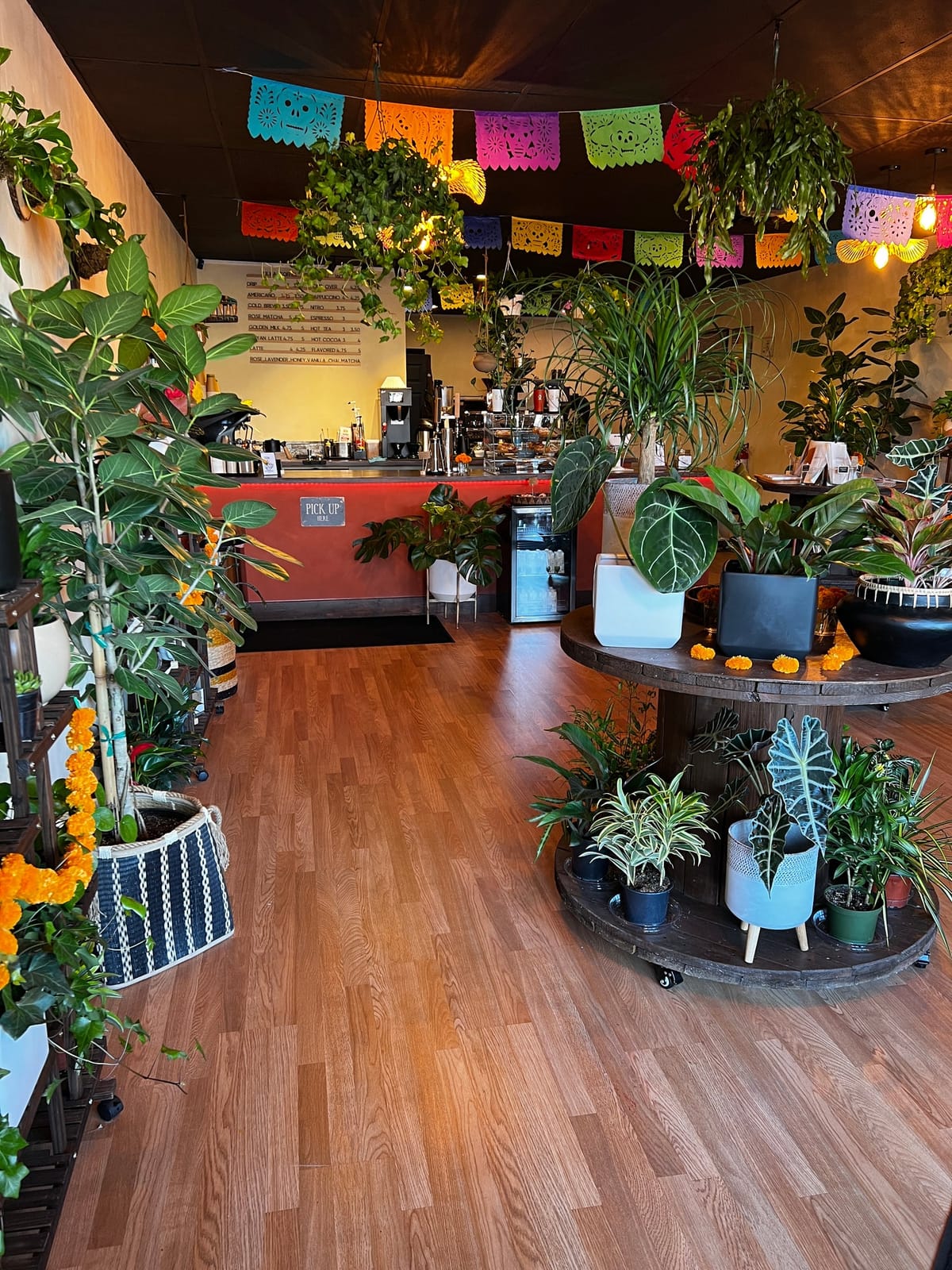 Ixxa Coffee Roasters photo 8