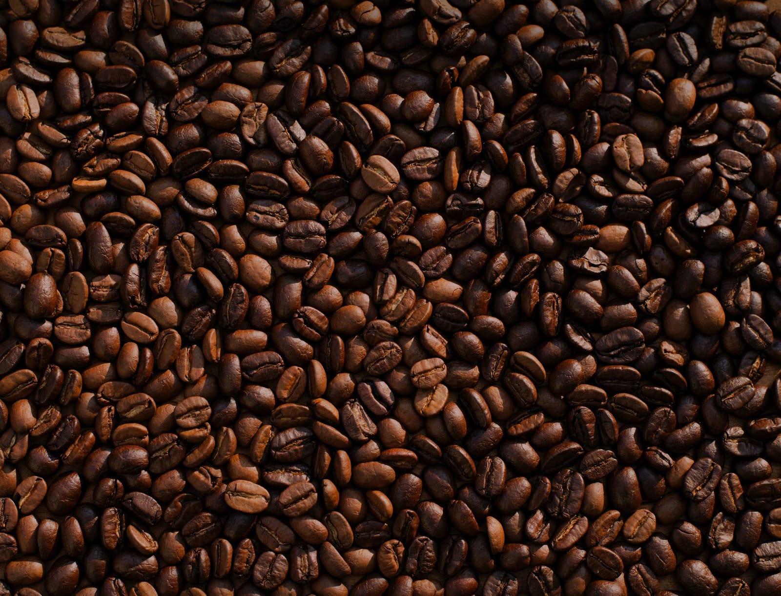 Sloan Coffee Roasting photo 4