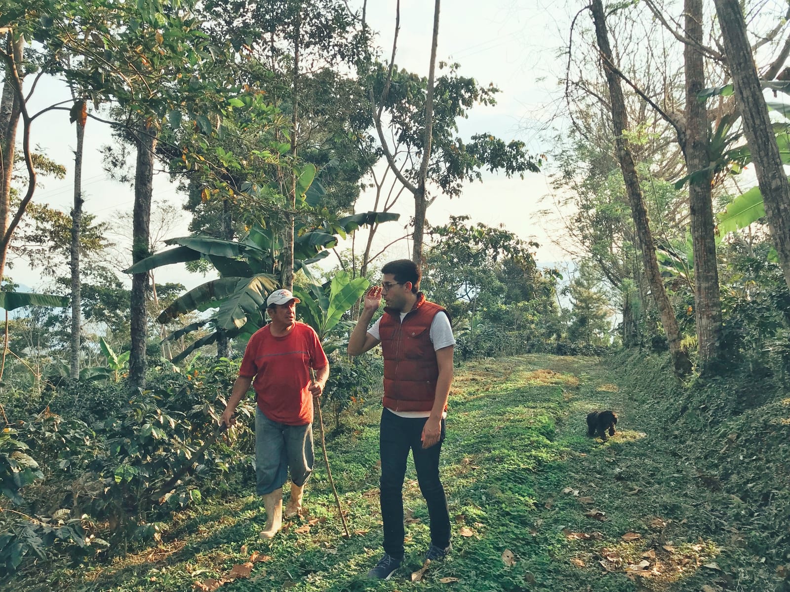 Farm Cup Coffee photo 3