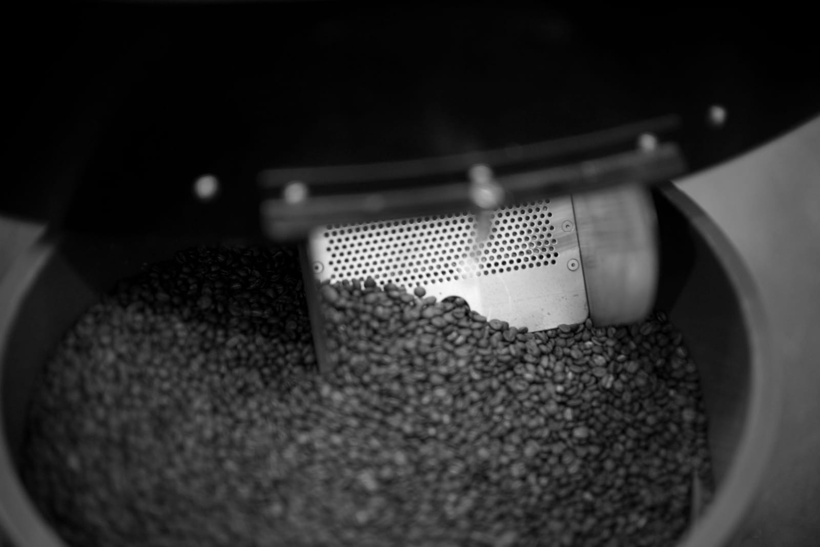 Cognoscenti Coffee Roasters photo 5