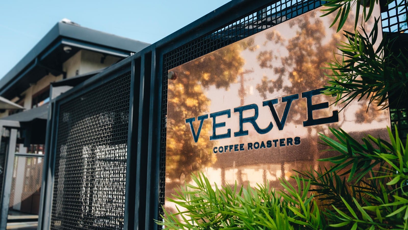 Verve Coffee Roasters