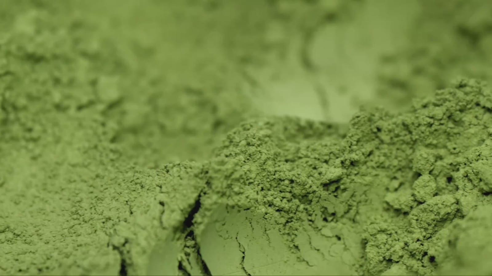 Cha Cha Matcha (WeHo) photo 6