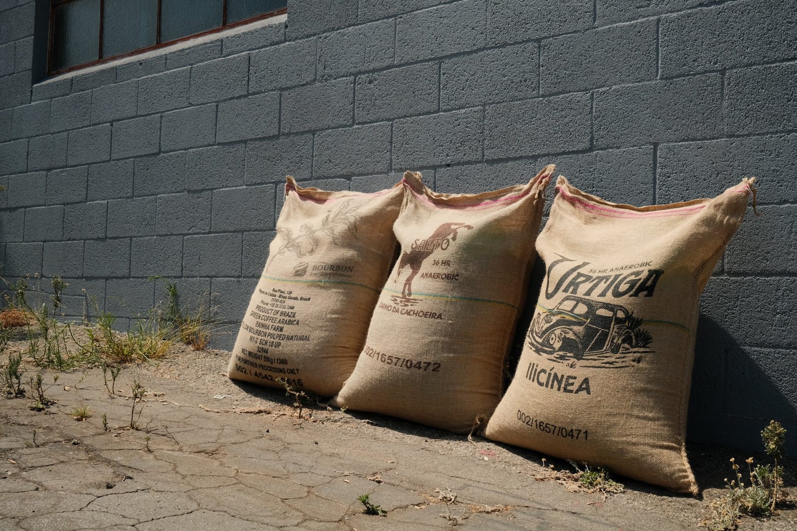 Smoky Hollow Roasters photo 5