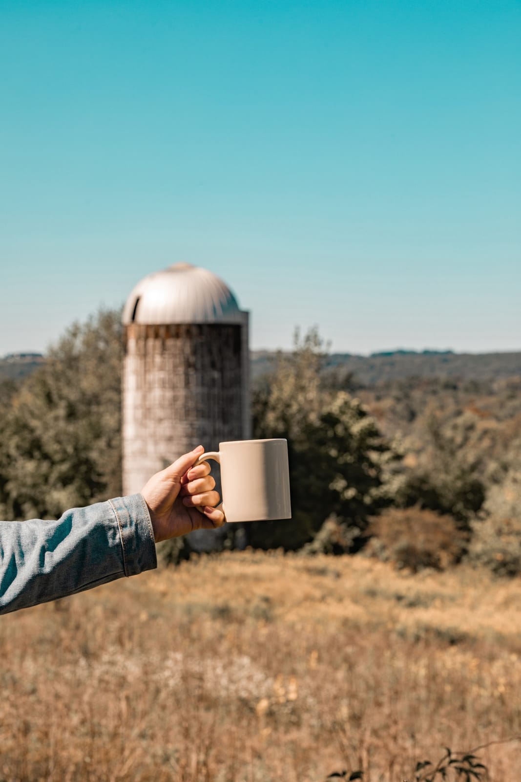 Winchell Mountain Coffee