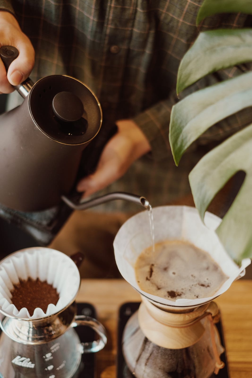Kona Coffee Roasters photo 6