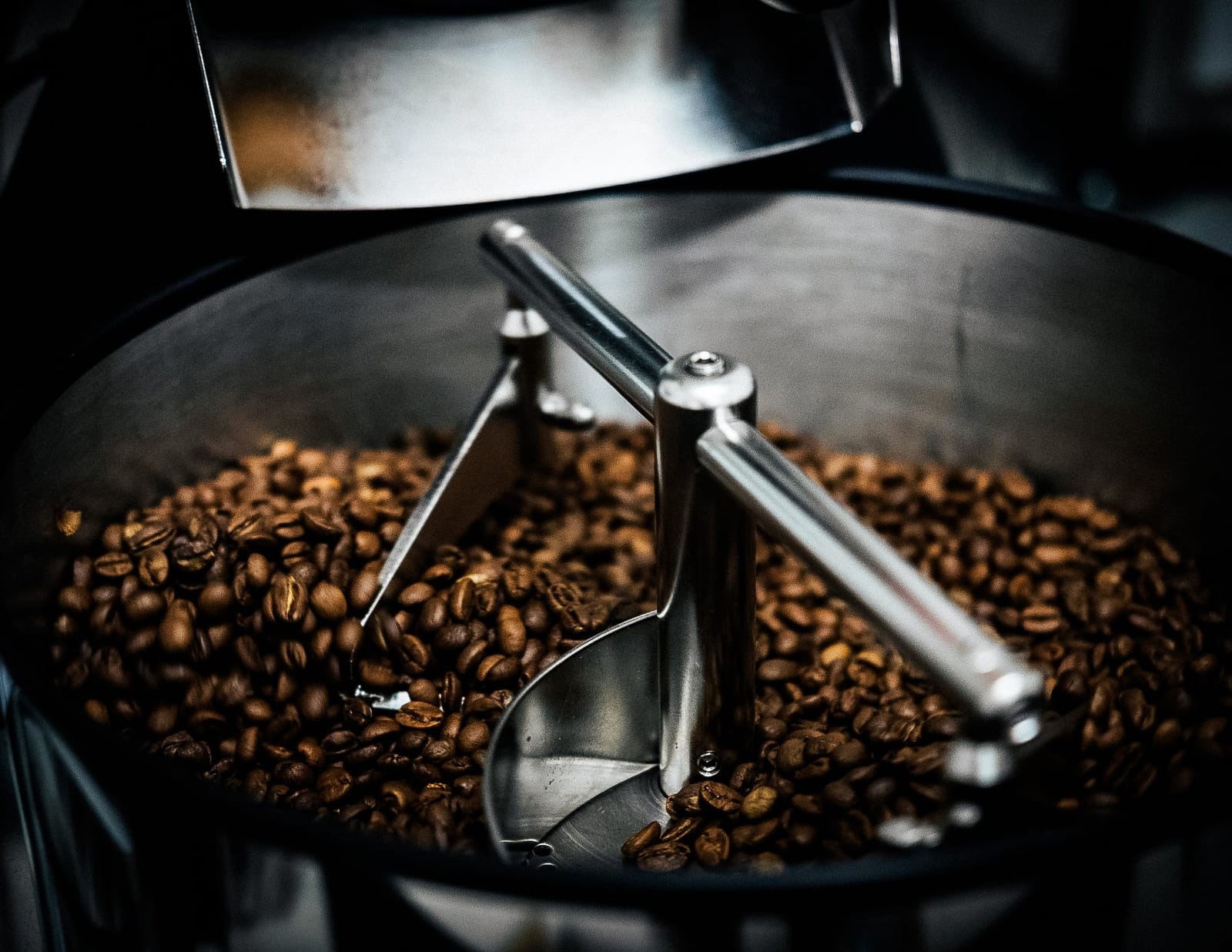 Generation Coffee Roasters (Tekka) photo 4