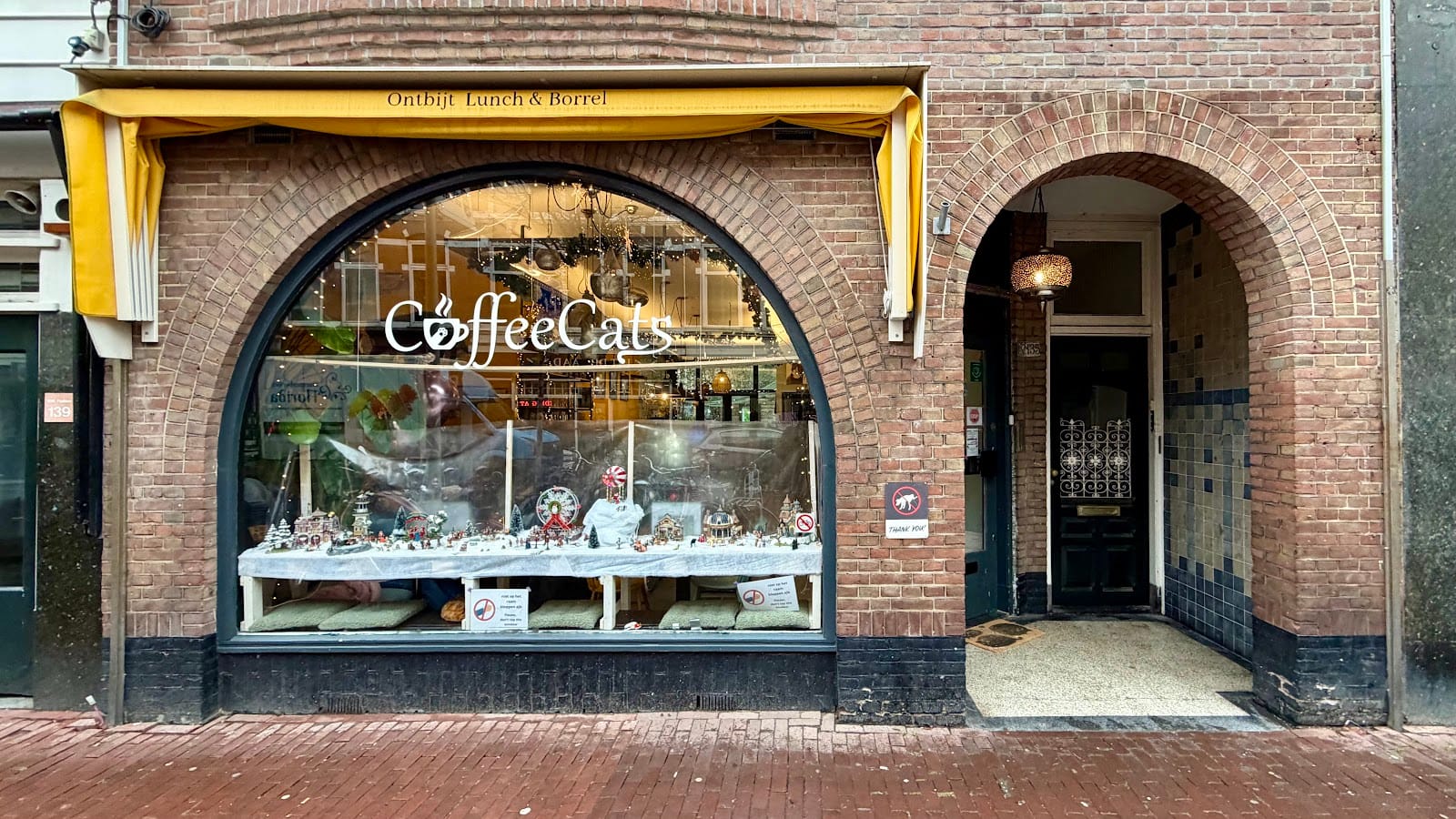 CoffeeCats