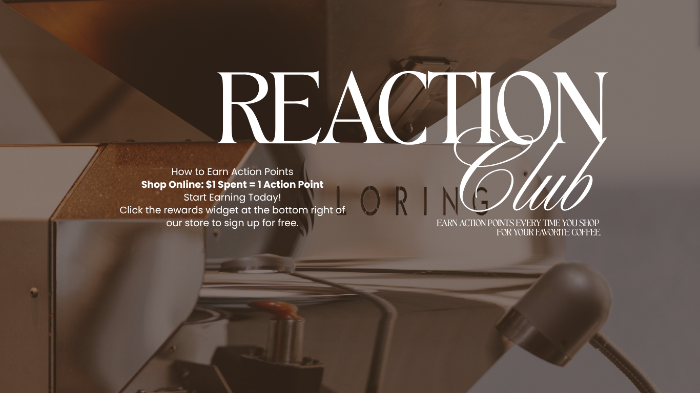 Reaction Coffee Roasters (Tsim Sha Tsui) photo 2