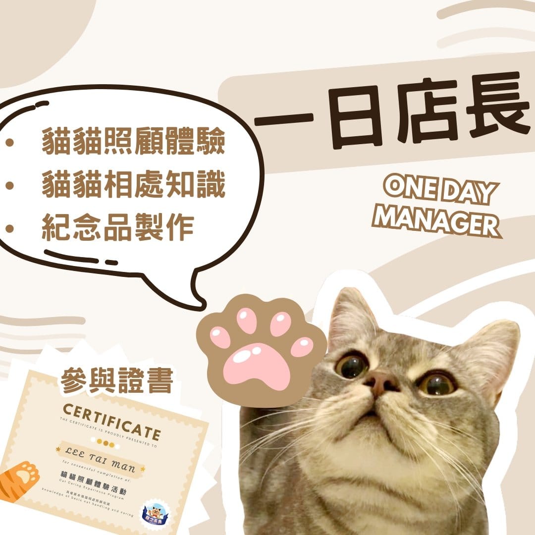 Cats Tea Room Mong Kok photo 3