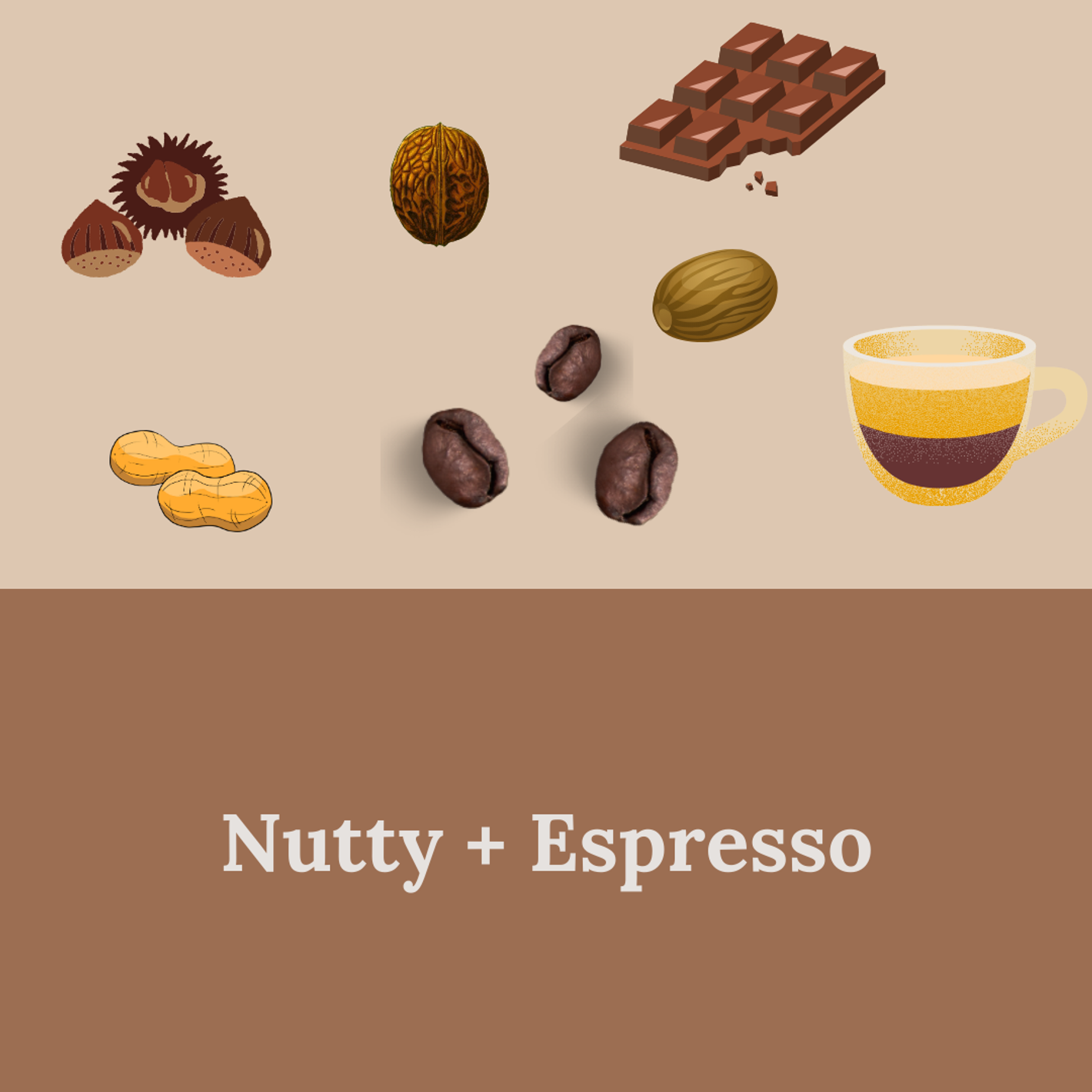 Avid Coffee HK 新鮮烘焙咖啡豆 咖啡用品 專門店 photo 5