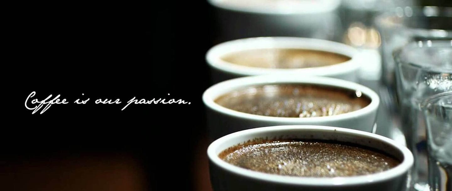 Return Coffee 362 photo 4