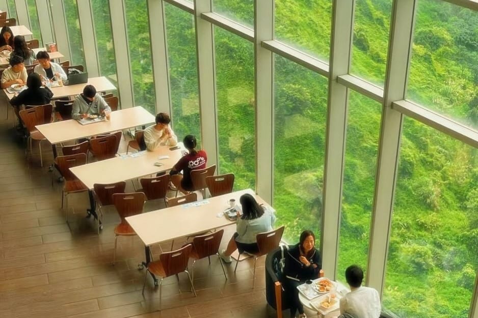 Cafe Tolo photo 3