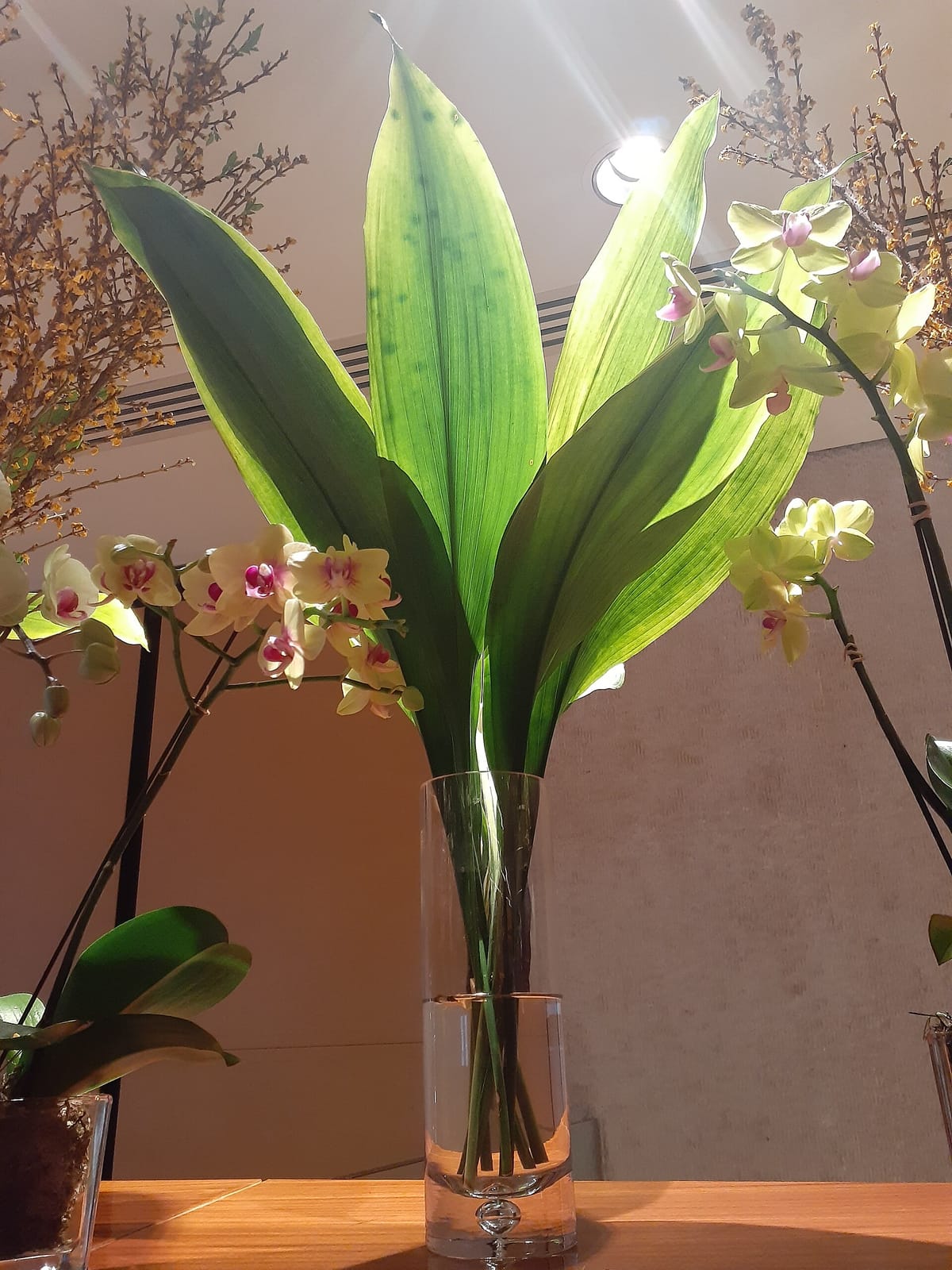 Hypebeans photo 4