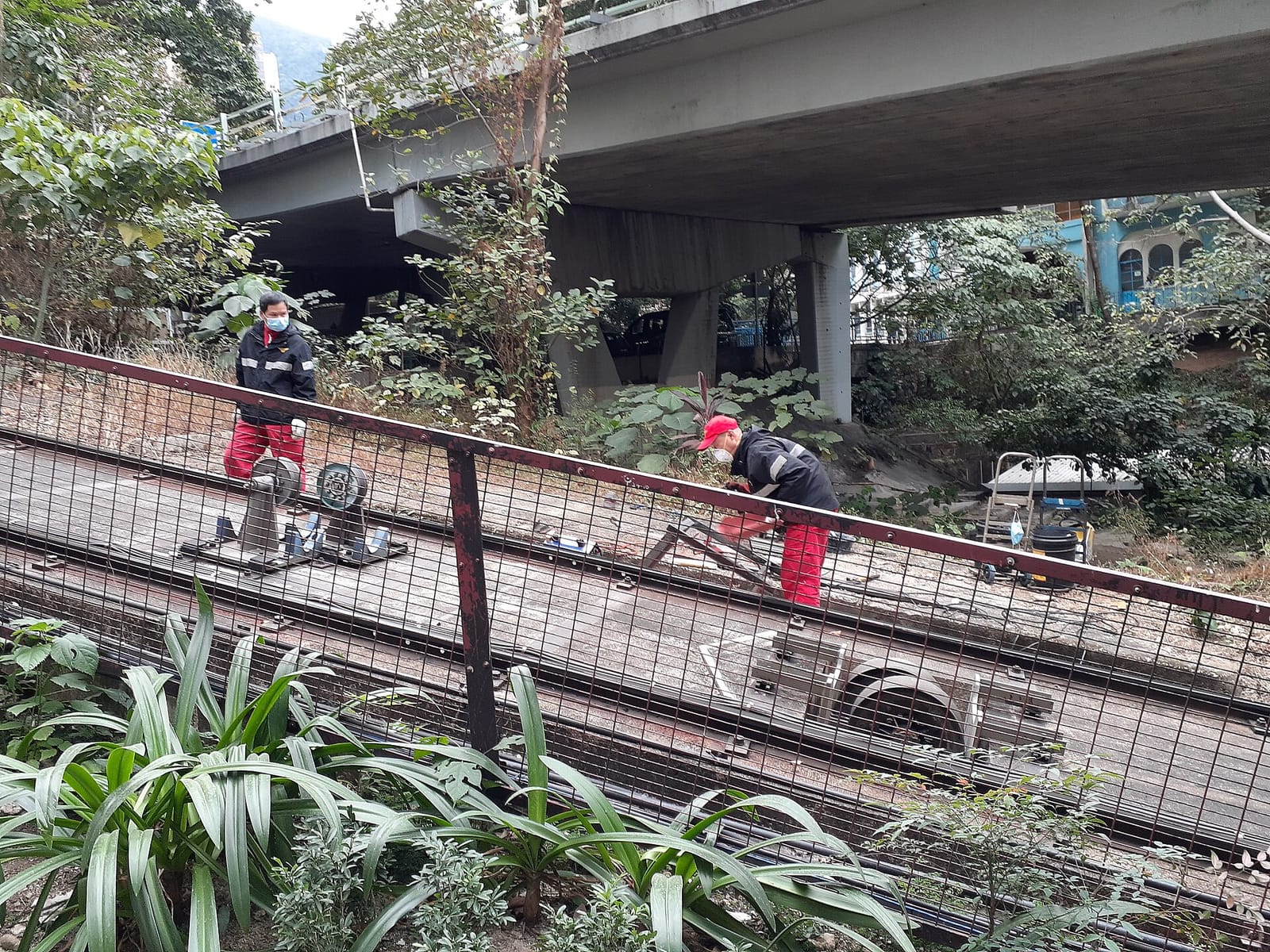 Tram View Cafe photo 5