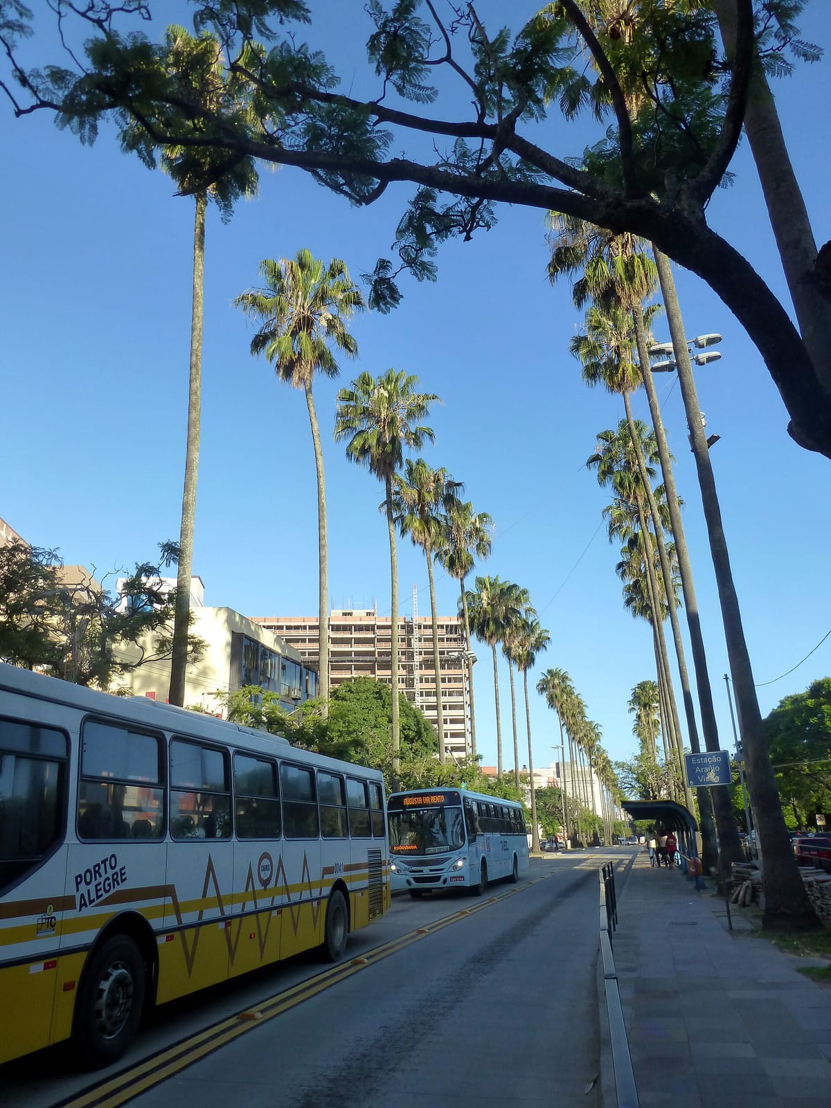 Josephina's